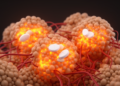 Blood Pressure Drug Losartan Awakens Metabolic Brown Fat in Surprise Discovery