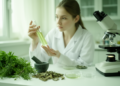 Plant-Derived Compounds Show Promise Against Gynecological Cancers, Review Finds
