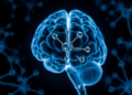 Chemical Trick Gives MRI a Clear Window on Brain Molecules It Could Never See