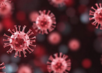 Gamma Delta T Cells Blur the Line Between Innate and Adaptive Immunity
