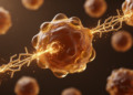 Saturated Fat Pushes Liver Cancer Cells Toward a Growth Signaling Pathway