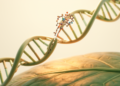 Custom-Built DNA Cutting Recipe Cracks the Code of Plant Epigenetics