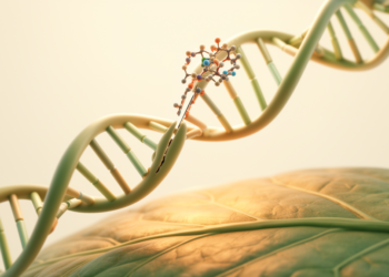 Custom-Built DNA Cutting Recipe Cracks the Code of Plant Epigenetics