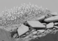 Nano-TiO₂ accelerates cement early but quietly locks its crystals later
