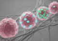 Ovarian Cancer Cells Outsmart CXCR4 Blockade at High Doses, Study Finds