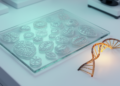 Diatom Fingerprints: Multiplex PCR-HRM Offers a Rapid New Way to Identify Mixed Diatom Species