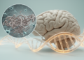 Tau Gene Architecture Dominates Genetic Risk in Corticobasal Degeneration