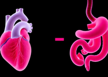Rare Chromosome 19p13.3 Deletion Linked to Fatal Infant Heart and Gut Complications