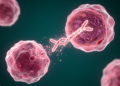 Cancer Cells Selectively Strip Gene-Rich Regions of the Y Chromosome to Fuel Tumor Growth