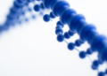 How Big Must a DNA Database Be? Massive Argentine Study Redefines Forensic Sampling Rules
