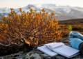 Plateau Shrub Yields Genetic Clues to Medicinal Alkaloid Production