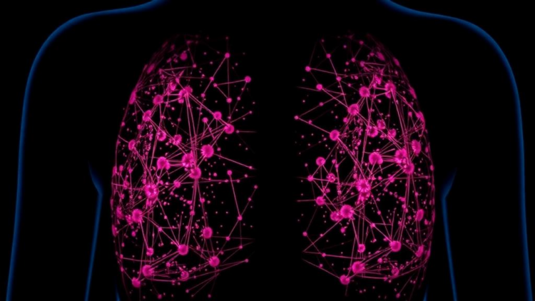 Rough Set Theory Trims the Data Needed to Flag HER2-Positive Breast Cancer
