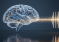 AI That Reads Brain Scans Fairly: New Method Strips Age Bias From Alzheimer's Deep Learning Models