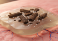 Lignin and magnesium oxide nanoparticles team up in a chitosan patch that heals wounds faster