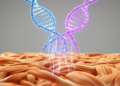 Two Genes, One Family: Rare Overlap of Myotonia and Myopathy Explained