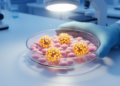 Hidden Immune Signal RSAD2 May Drive Endometrial Cancer Growth, Study Finds
