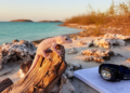 Hidden gecko hitchhikers: First full survey reveals the secret reptile life of Saudi Arabia's Gulf islands