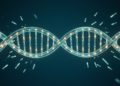 ParaDISM: New Tool Maps Tricky Short Reads to Lookalike Genes With Precision