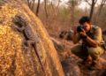 New rock-dwelling gecko species discovered in Odisha's Eastern Ghats