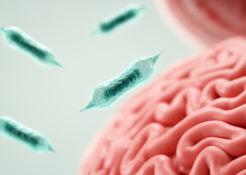 Oral bacterium Fusobacterium nucleatum and endometriosis: what the evidence really shows