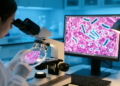 AI Reads Bacteria Hidden in Colorectal Cancer Slides