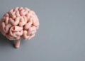 Mindfulness May Sharpen Cognition in Neurological Disease, but Evidence Remains Fragile