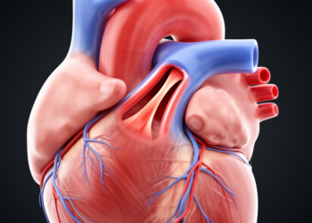 Hidden Coronary Artery Defect Triggered Cardiogenic Shock in a 10-Year-Old Boy After Exercise