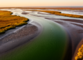Counting the Hidden Energy That Keeps an Estuary Alive