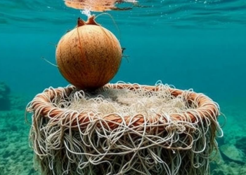 Coconut Shells and Hemp Fibers Tested as Concrete Armor Against Underwater Abrasion