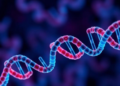 Scientists Link a DNA-Building Enzyme to Fat Rewiring and Chemotherapy Failure in Pancreatic Cancer