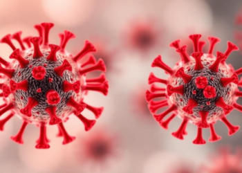 Neglected respiratory viruses rival influenza and RSV in blood cancer patients