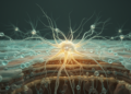 Ancient somatosensory circuit architectures employ flexible molecular strategies